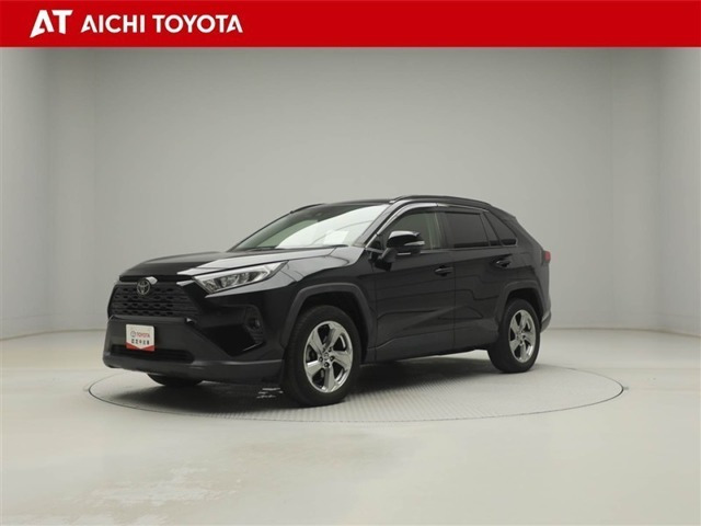 RAV42.0 X