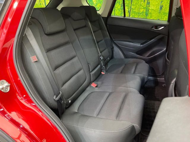 �㕔���Ȃ��C�ɂȂ�悤�ȃL�Y�E�����ւ��蓙�A�傫�ȃ_���[�W�͂Ȃ��A�ǍD�ȏ�Ԃł��B