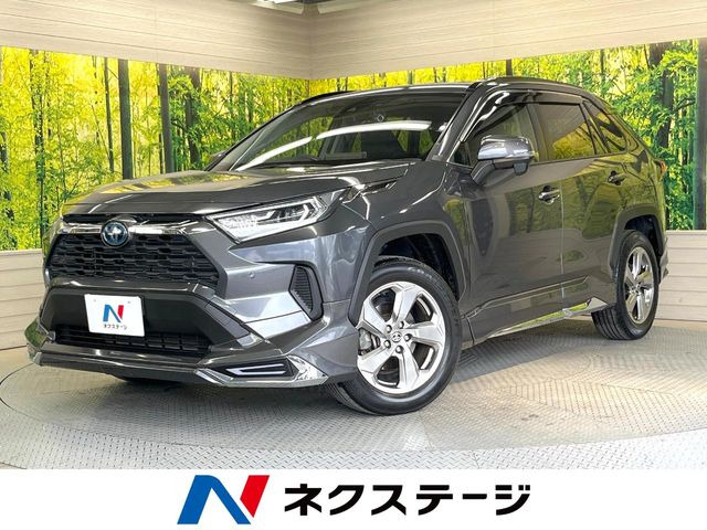 非売品 トヨタ 1/30 新型 RAV4 PHV グレーメタリック カラーサンプル