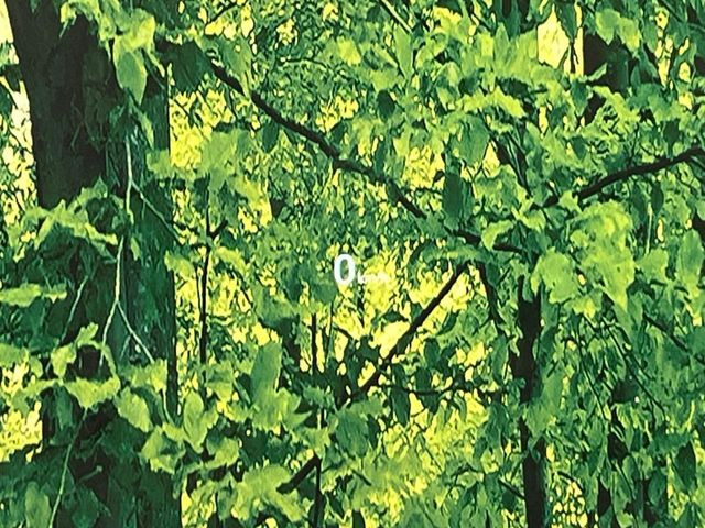 �y�J���[�w�b�h�A�b�v�f�B�X�v���C�z���݂̑��x�⑖�s�����f�W�^���\���ŉ^�]�ȑO���̃K���X�ɓ��e!�J���[�t���Ŏ��F���������A�^�]���ڐ������炳���K�v�ȏ����m�F�ł���̂łƂ��Ă��֗��ň��S!