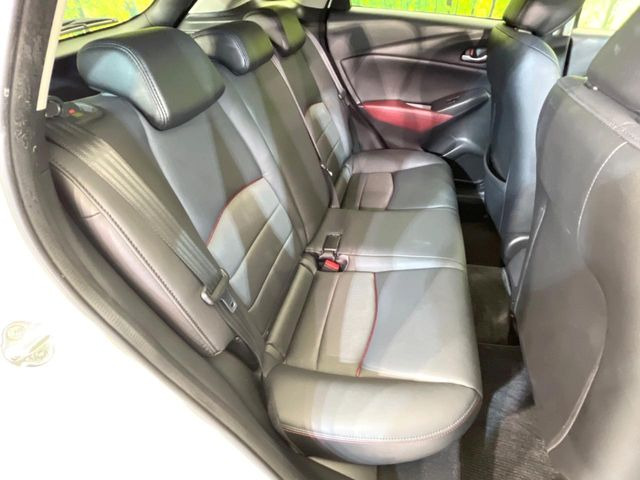 �㕔���Ȃ��C�ɂȂ�悤�ȃL�Y�E�����ւ��蓙�A�傫�ȃ_���[�W�͂Ȃ��A�ǍD�ȏ�Ԃł��B