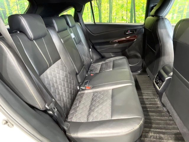 �㕔���Ȃ��C�ɂȂ�悤�ȃL�Y�E�����ւ��蓙�A�傫�ȃ_���[�W�͂Ȃ��A�ǍD�ȏ�Ԃł��B