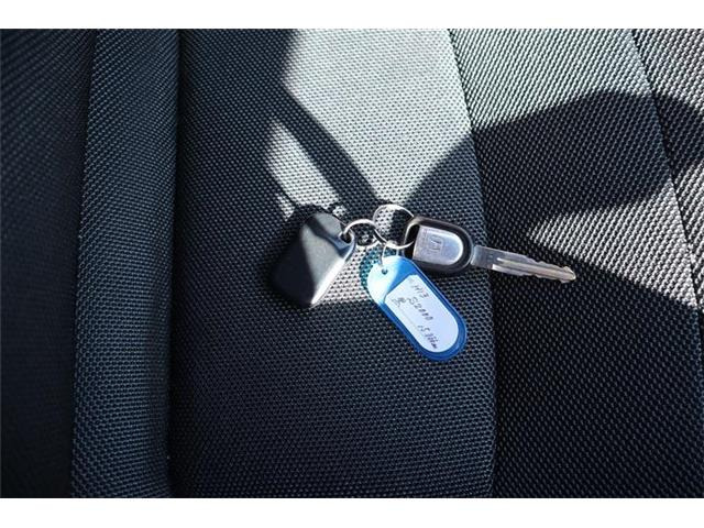 �f���炵��!�󏭂ł�!�J�b�R�C�C�ł�!�Z���X�̗ǂ�������܂�!���N���N������f�G�ȃN���}�ł��B�Ȃ��Ȃ���ɓ���Ȃ��̂Ő���Ƃ�GET���ĉ������B1�䂵���Ȃ��ł��B�����Ă��ꂩ����������l���オ��܂�!