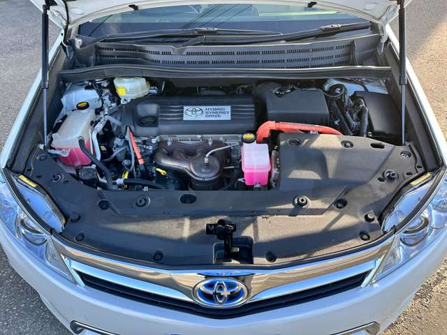 ���|�ς݂Ŕ��ɂ��ꂢ�ł���!!