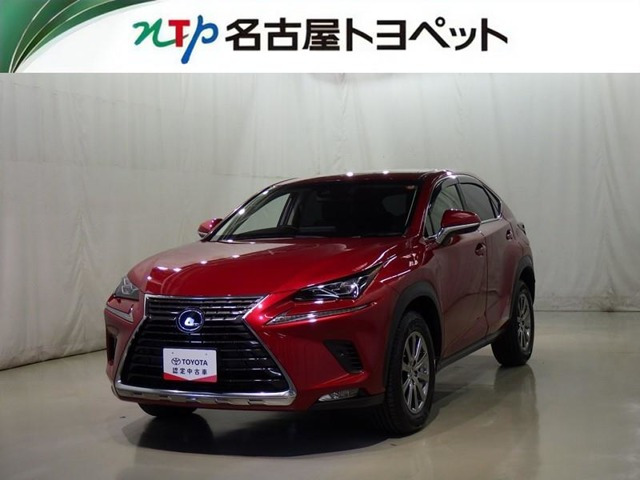 NX300h Iパッケージ