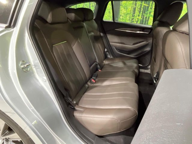 �㕔���Ȃ��C�ɂȂ�悤�ȃL�Y�E�����ւ��蓙�A�傫�ȃ_���[�W�͂Ȃ��A�ǍD�ȏ�Ԃł��B