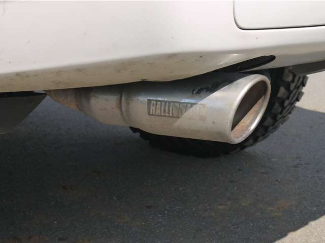 �����A�[�g�A�p���_�J�𑽂��������p�W�F���̃^�t�ȃX�^�~�i�������\����(^_-)-��