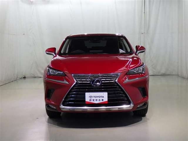 NX300h Iパッケージ