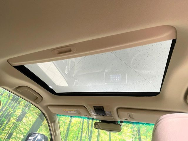 �y�T�����[�t�z�J���������Ղ�̊󏭑����A�T�����[�t����������Ă��܂�!�ԓ��ɖ�����������ꂽ��i�F���y���ވȊO�ɂ��A�ԓ��̋�C���ȒP�Ɋ��C�ł��ĉ��K�ł�!