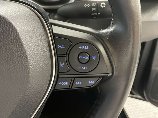 �^�]�Ȏ���ɑ傫�ȏ��A����A�ւ���ȂǂȂ��ǎ��ȏ�Ԃł�!