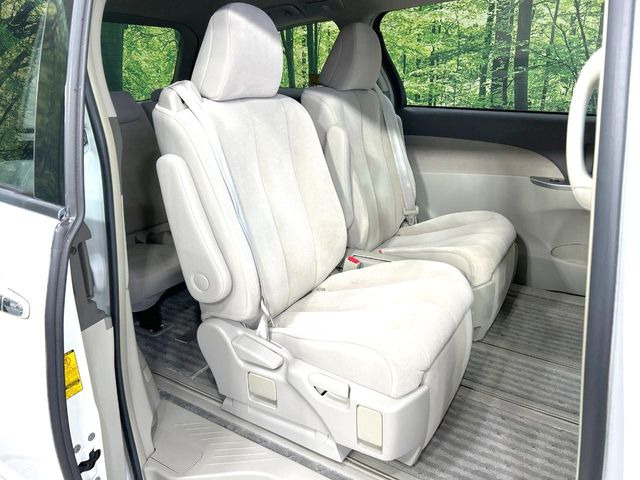 �㕔���Ȃ��C�ɂȂ�悤�ȃL�Y�E�����ւ��蓙�A�傫�ȃ_���[�W�͂Ȃ��A�ǍD�ȏ�Ԃł��B