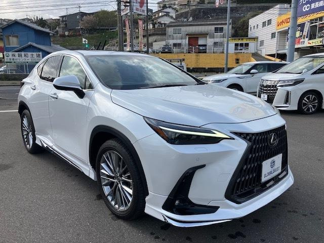 NX250 バージョンL