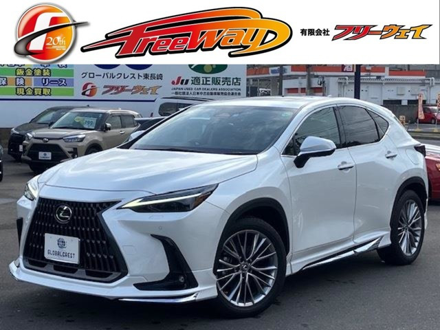 NX250 バージョンL