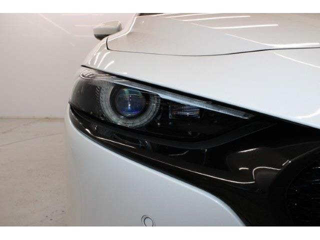 ���Ǝҗl�ւ̔̔��͂��f�肳���Ă��������܂��B �Ԍ������ԗ��̏ꍇ�́A�Ԍ����擾�������x�������z�ŕ\�����Ă���܂��B