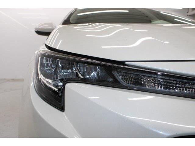 ���Ǝҗl�ւ̔̔��͂��f�肳���Ă��������܂��B�Ԍ������ԗ��̏ꍇ�́A�Ԍ����擾�������x�������z�ŕ\�����Ă���܂��B