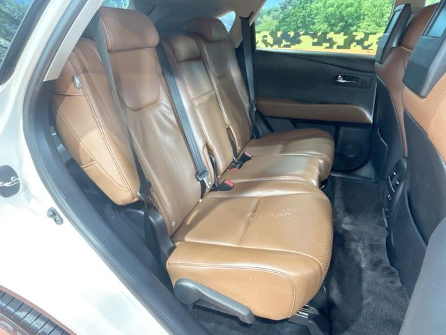 �㕔���Ȃ��C�ɂȂ�悤�ȃL�Y�E�����ւ��蓙�A�傫�ȃ_���[�W�͂Ȃ��A�ǍD�ȏ�Ԃł��B