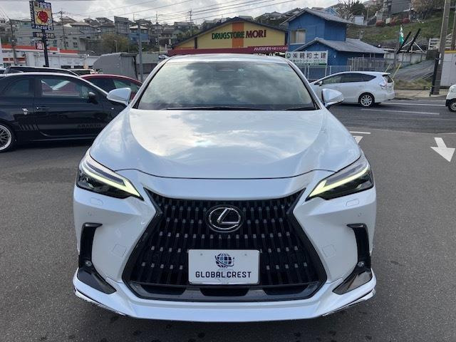 NX250 バージョンL