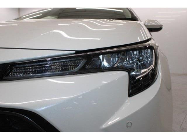 ���Ǝҗl�ւ̔̔��͂��f�肳���Ă��������܂��B�Ԍ������ԗ��̏ꍇ�́A�Ԍ����擾�������x�������z�ŕ\�����Ă���܂��B