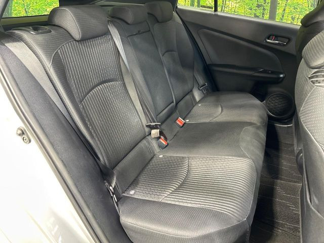 �㕔���Ȃ��C�ɂȂ�悤�ȃL�Y�E�����ւ��蓙�A�傫�ȃ_���[�W�͂Ȃ��A�ǍD�ȏ�Ԃł��B