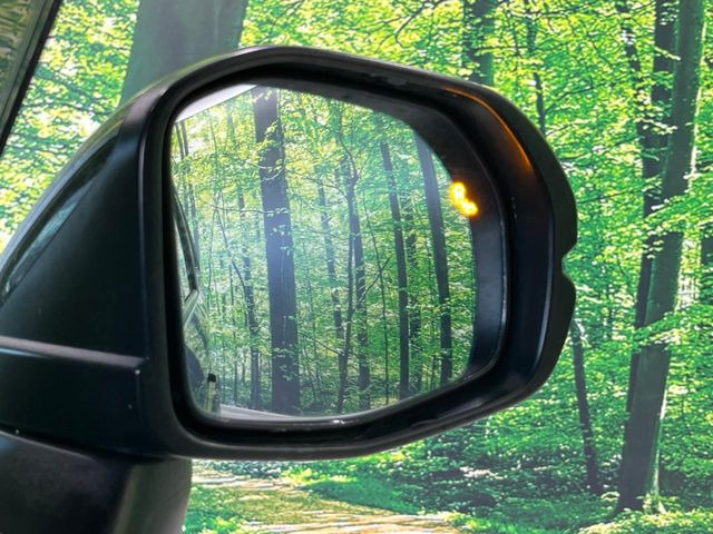 �y�u���C���h�X�|�b�g�C���t�H���[�V�����z���s���A�h�A�~���[�̎��p�ɂȂ�₷���ӏ��Ɍ㑱�Ԃ��ڋ߂���ƃT�C�h�~���[�t�߂Ɍx����\���A�h���C�o�[�ɒ��ӊ��N�����Ă���܂��B