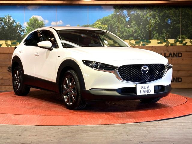 ��D�]�̃{�f�B�R�[�e�B���O�u�e�X�v���b�V���R�[�g�v�����[�Ԃ܂łɎ{�H�\�B�ʏ�̃K���X�R�[�g�ƈقȂ�A�ϋv�N��6�N�̖��@���K���X�R�[�e�B���O���A�{�f�B���L���C�ȏ�Ԃɕۂ��Ă���܂��B