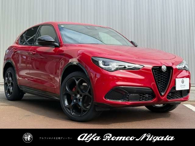 ステルヴィオ2.0 ターボ Q4 コンペティツィオーネ 4WD