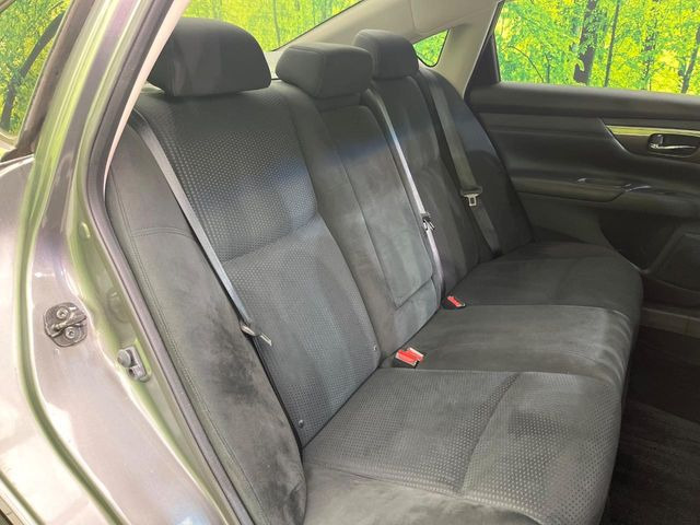 �㕔���Ȃ��C�ɂȂ�悤�ȃL�Y�E�����ւ��蓙�A�傫�ȃ_���[�W�͂Ȃ��A�ǍD�ȏ�Ԃł��B