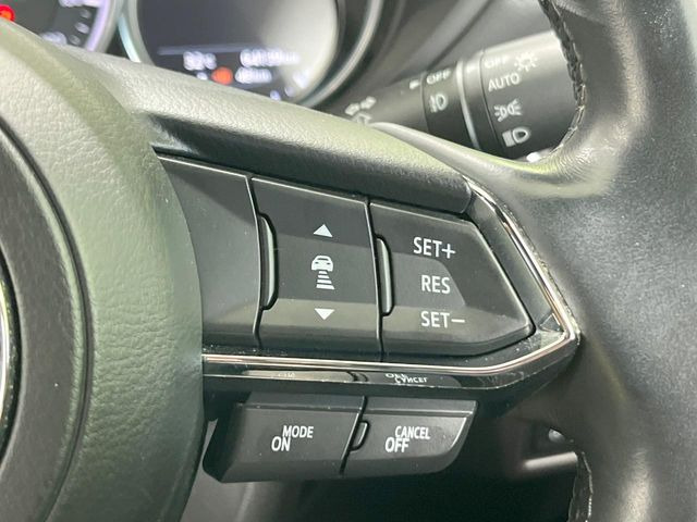 �y�}�c�_�E���[�_�[�N���[�Y�R���g���[���z�������H�ł̒��������s���y��!�����ő��x��ۂN���[�Y�R���g���[�����A�Փˌy���V�X�e���ƘA�g���A�O���̎ԗ������m���ĎԊԂ�ۂ悤�ɑ��x���߂��Ă���܂�!!