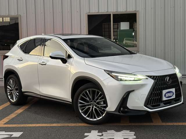 NX450hプラス バージョンL 4WD