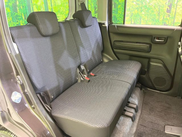 �㕔���Ȃ��C�ɂȂ�悤�ȃL�Y�E�����ւ��蓙�A�傫�ȃ_���[�W�͂Ȃ��A�ǍD�ȏ�Ԃł��B