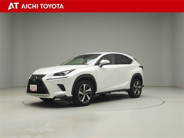 NX300 Iパッケージ