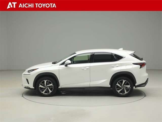 NX300 Iパッケージ