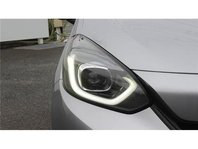 �����X�o���Ȃ����q�l�A���Ǝҗl�ւ̔̔��͂��f�肳���Ă��������܂��B�Ԍ������ԗ��̏ꍇ�́A�Ԍ����擾�������x�������z�ŕ\�����Ă���܂��B