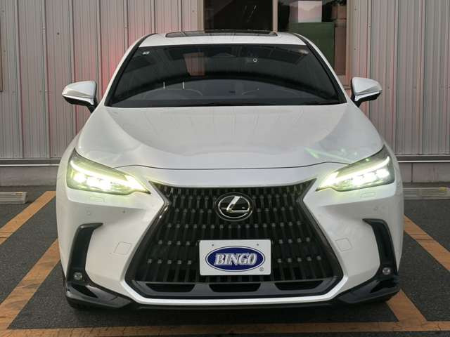 NX450hプラス バージョンL 4WD