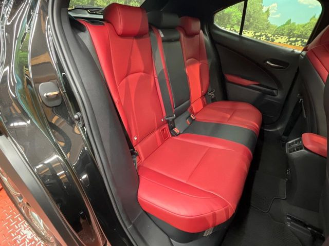 �㕔���Ȃ��C�ɂȂ�悤�ȃL�Y�E�����ւ��蓙�A�傫�ȃ_���[�W�͂Ȃ��A�ǍD�ȏ�Ԃł��B