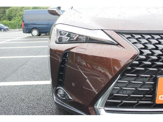 ���Ǝҗl�ւ̔̔��͂��f�肳���Ă��������܂��B �Ԍ������ԗ��̏ꍇ�́A�Ԍ����擾�������x�������z�ŕ\�����Ă���܂��B