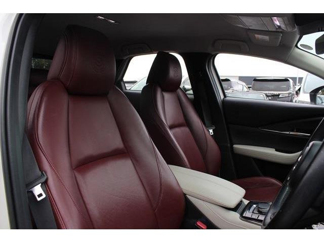 ���Ǝҗl�ւ̔̔��͂��f�肳���Ă��������܂��B �Ԍ������ԗ��̏ꍇ�́A�Ԍ����擾�������x�������z�ŕ\�����Ă���܂��B