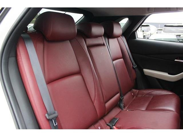 ���Ǝҗl�ւ̔̔��͂��f�肳���Ă��������܂��B �Ԍ������ԗ��̏ꍇ�́A�Ԍ����擾�������x�������z�ŕ\�����Ă���܂��B