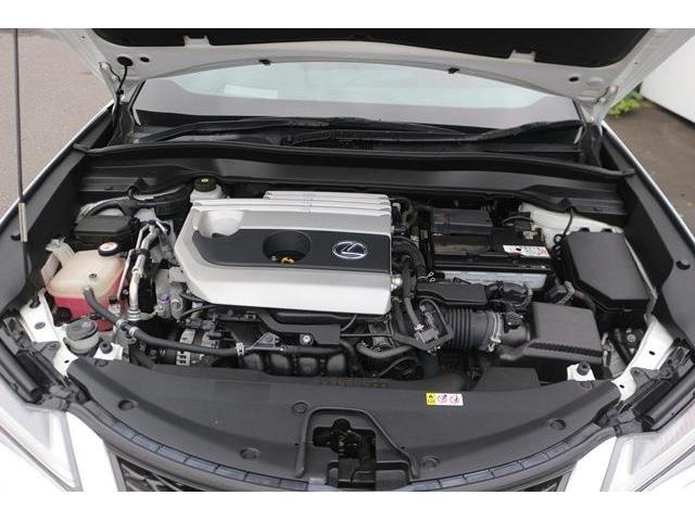 �̔��͂����X���������邨�q�l����ł��B���Ǝҗl�ւ̔̔��͂��f�肳���Ă��������܂��B�Ԍ������ԗ��̏ꍇ�́A�Ԍ����擾�������x�������z�ŕ\�����Ă���܂��B