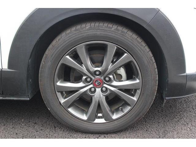 ���Ǝҗl�ւ̔̔��͂��f�肳���Ă��������܂��B �Ԍ������ԗ��̏ꍇ�́A�Ԍ����擾�������x�������z�ŕ\�����Ă���܂��B