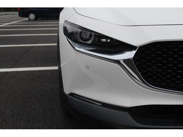 ���Ǝҗl�ւ̔̔��͂��f�肳���Ă��������܂��B �Ԍ������ԗ��̏ꍇ�́A�Ԍ����擾�������x�������z�ŕ\�����Ă���܂��B