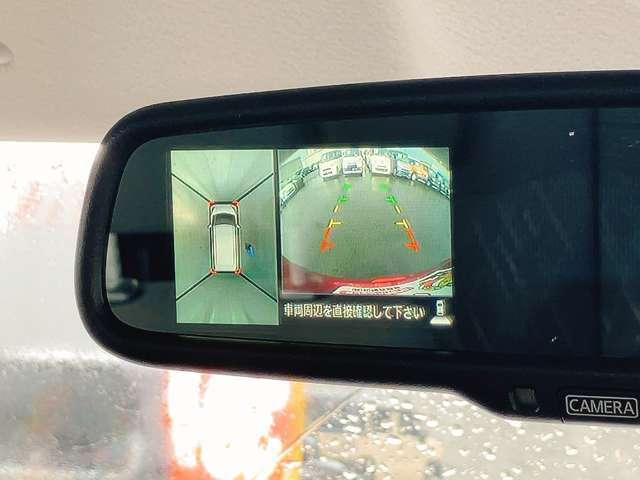 �y�o�b�N�J�����z����m�F��Ԍɓ�������S�E���K�ł��ˁ�