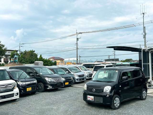 �y39.8���X�J�[�Y�̎��q���������������A���ɂ��肪�Ƃ��������܂��B���������S�s���c1186-7TEL:0942-73-6060�܂ł��⍇����������