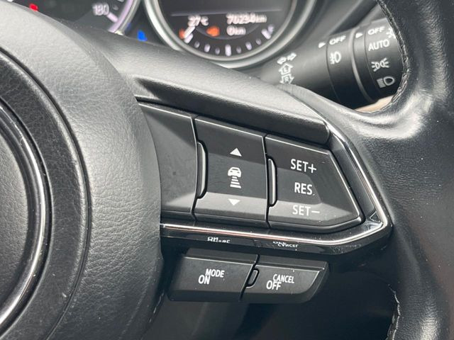 �y�}�c�_�E���[�_�[�N���[�Y�R���g���[���z�������H�ł̒��������s���y��!�����ő��x��ۂN���[�Y�R���g���[�����A�Փˌy���V�X�e���ƘA�g���A�O���̎ԗ������m���ĎԊԂ�ۂ悤�ɑ��x���߂��Ă���܂�!!