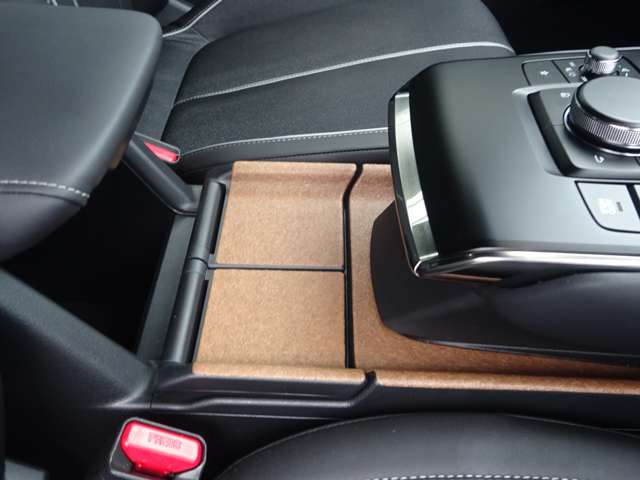 �{�R���N����̟����������R���\�[�����B����700���N���X�̍����Ԃł����{���̃E�b�h�ł͂Ȃ������̃v�����g�ؖڒ��Ȃ̂ɁE�E�E�}�c�_���܂��ˁB