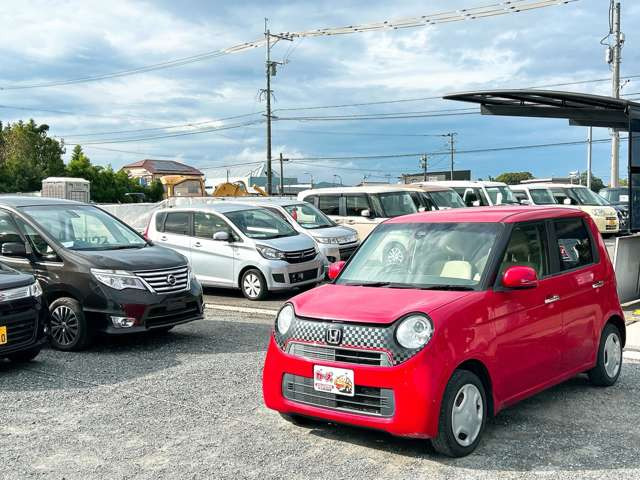 �y39.8���X�J�[�Y�̎��q���������������A���ɂ��肪�Ƃ��������܂��B���������S�s���c1186-7TEL:0942-73-6060�܂ł��⍇����������