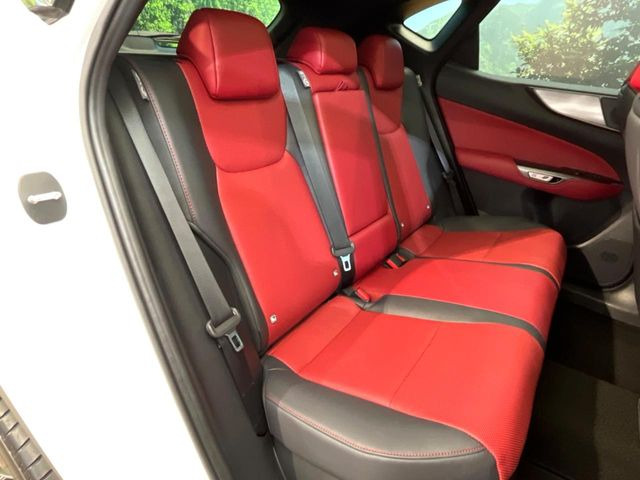 �㕔���Ȃ��C�ɂȂ�悤�ȃL�Y�E�����ւ��蓙�A�傫�ȃ_���[�W�͂Ȃ��A�ǍD�ȏ�Ԃł��B