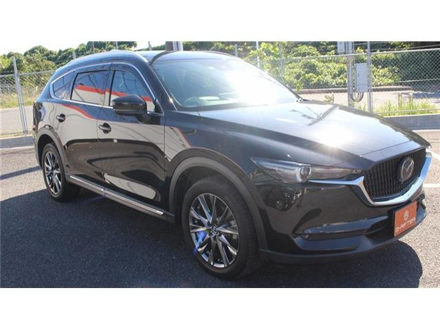 �����X�o���Ȃ����q�l�A���Ǝҗl�ւ̔̔��͂��f�肳���Ă��������܂��B�Ԍ������ԗ��̏ꍇ�́A�Ԍ����擾�������x�������z�ŕ\�����Ă���܂��B