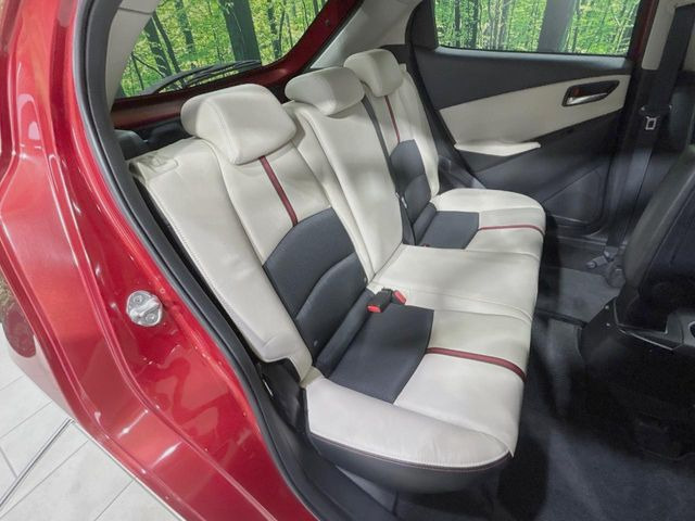 �㕔���Ȃ��C�ɂȂ�悤�ȃL�Y�E�����ւ��蓙�A�傫�ȃ_���[�W�͂Ȃ��A�ǍD�ȏ�Ԃł��B