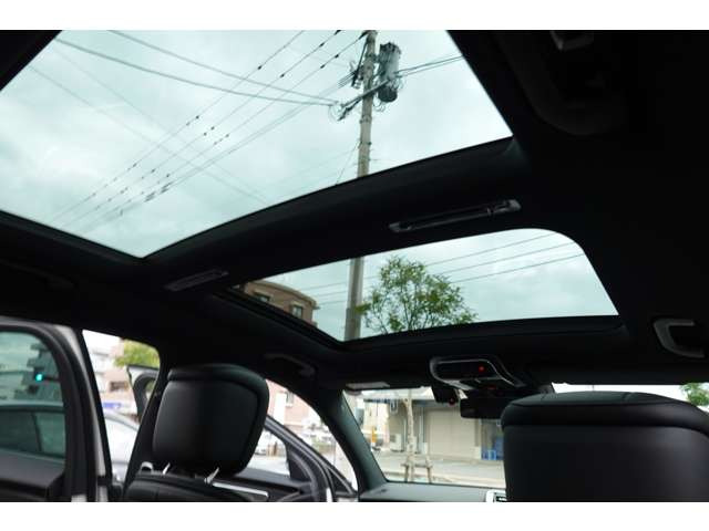 �p�m���}�~�b�N�X���C�f�B���O���[�t�B